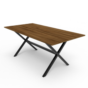 <b>MESA X</b>